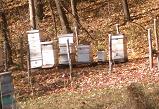 Our apiary
